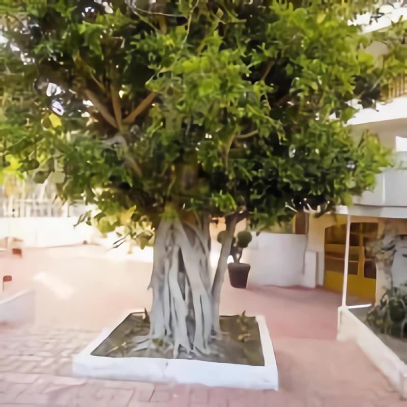 Luminoso Apartamento En Salou Con Terraza Y Parque Infantil Ideal Familias 外观 照片